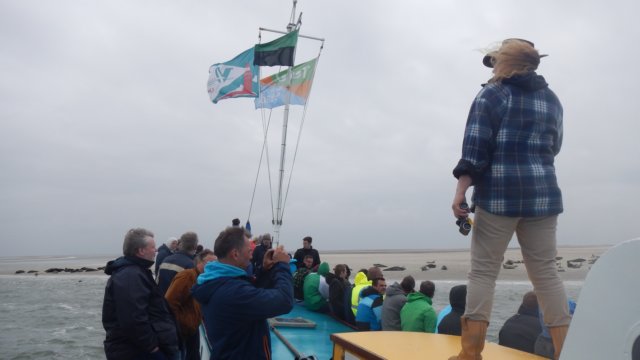 HWK Texel 2015 074.jpg